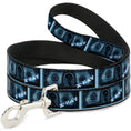 Load image into Gallery viewer, Dog Leash - $1 Bill X-Ray
