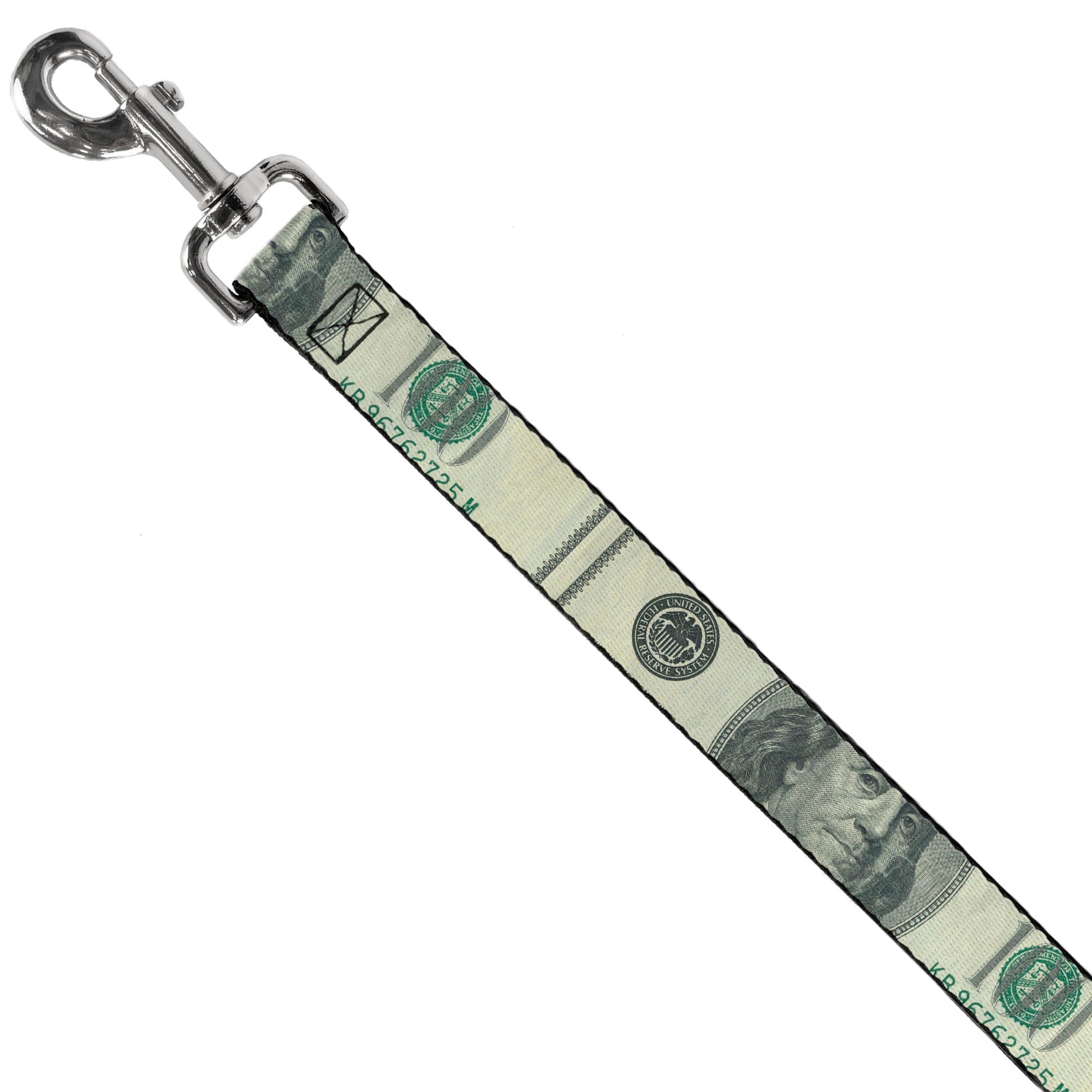 Dog Leash - 100 Dollar Bill CLOSE-UP