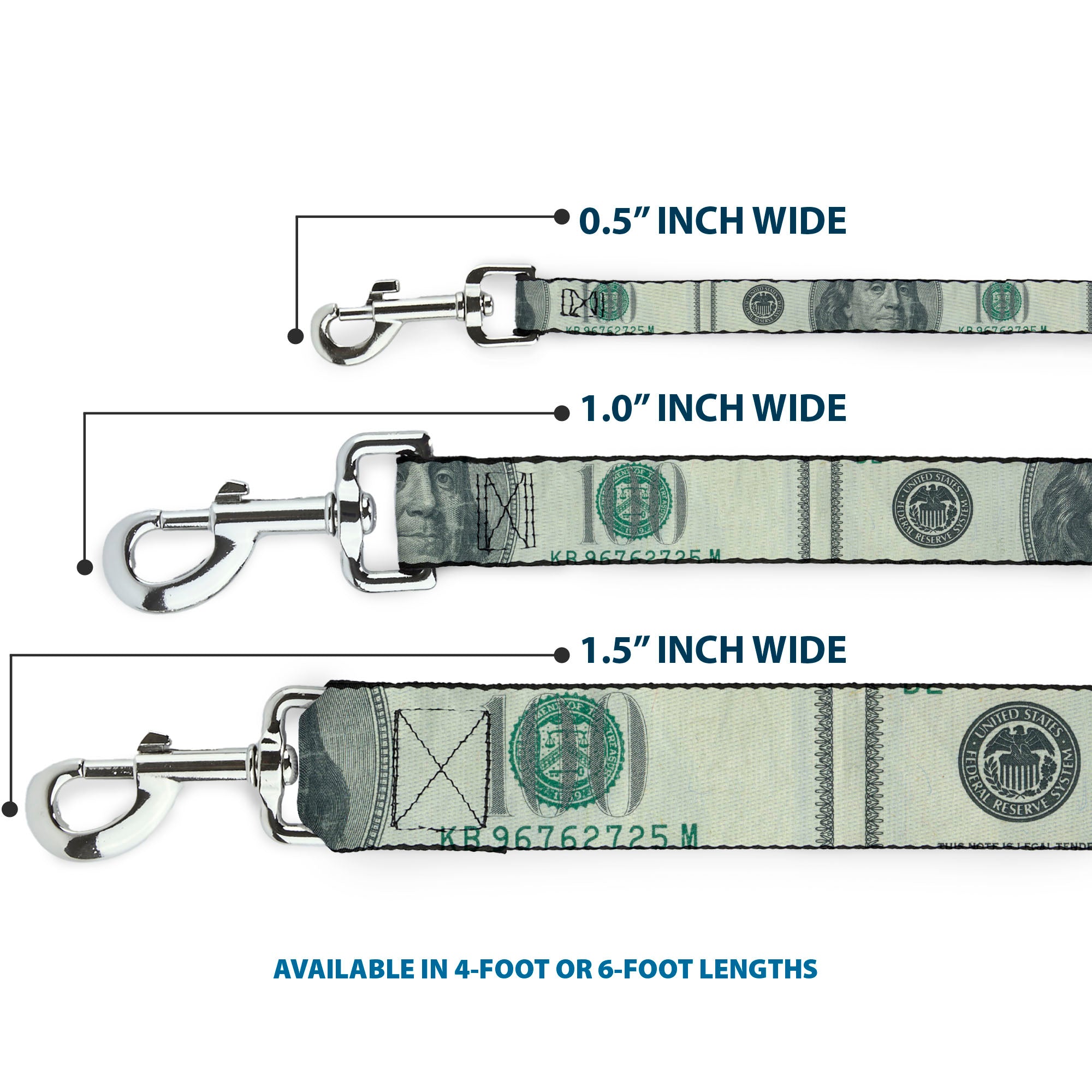 Dog Leash - 100 Dollar Bill CLOSE-UP