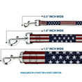 Load image into Gallery viewer, Dog Leash - Americana Rustic Stars & Stripes
