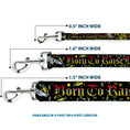 Load image into Gallery viewer, Dog Leash - Born to Raise Hell Black
