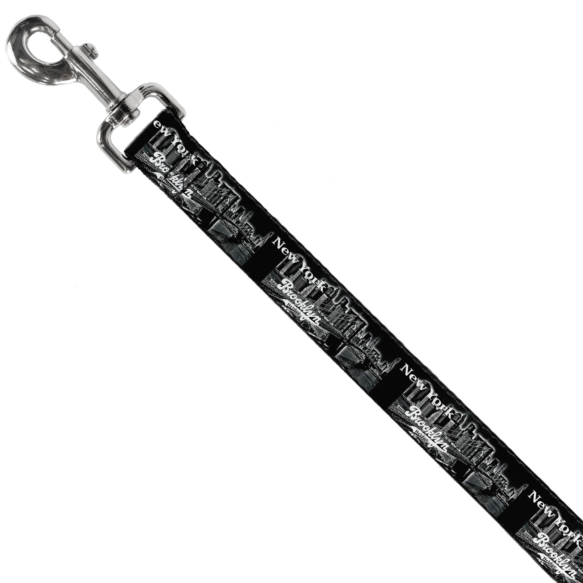 Dog Leash - Brooklyn New York