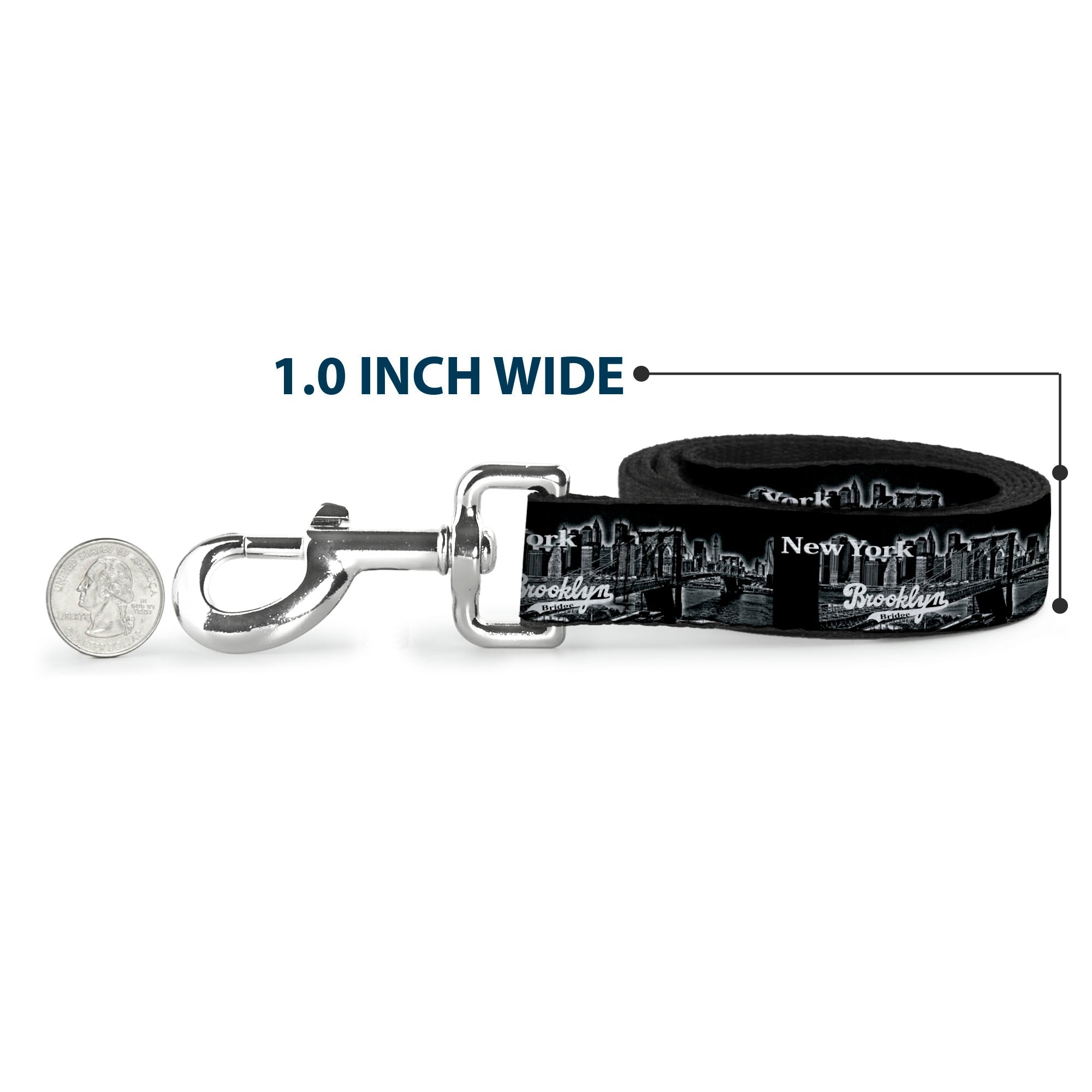 Dog Leash - Brooklyn New York