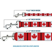 Dog Leash - Canada Flags