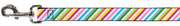 Dog Leash - Diagonal Stripes White/Multi Color
