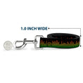 Load image into Gallery viewer, Dog Leash - DC Equalizer
