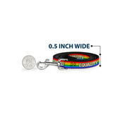 Dog Leash - EQUALITY/Stripe Rainbow/White