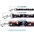 Load image into Gallery viewer, Dog Leash - Flying Eagle/American Flag
