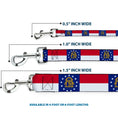 Load image into Gallery viewer, Dog Leash - Georgia Flag
