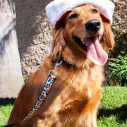 Dog Leash - Holly & Mistletoe