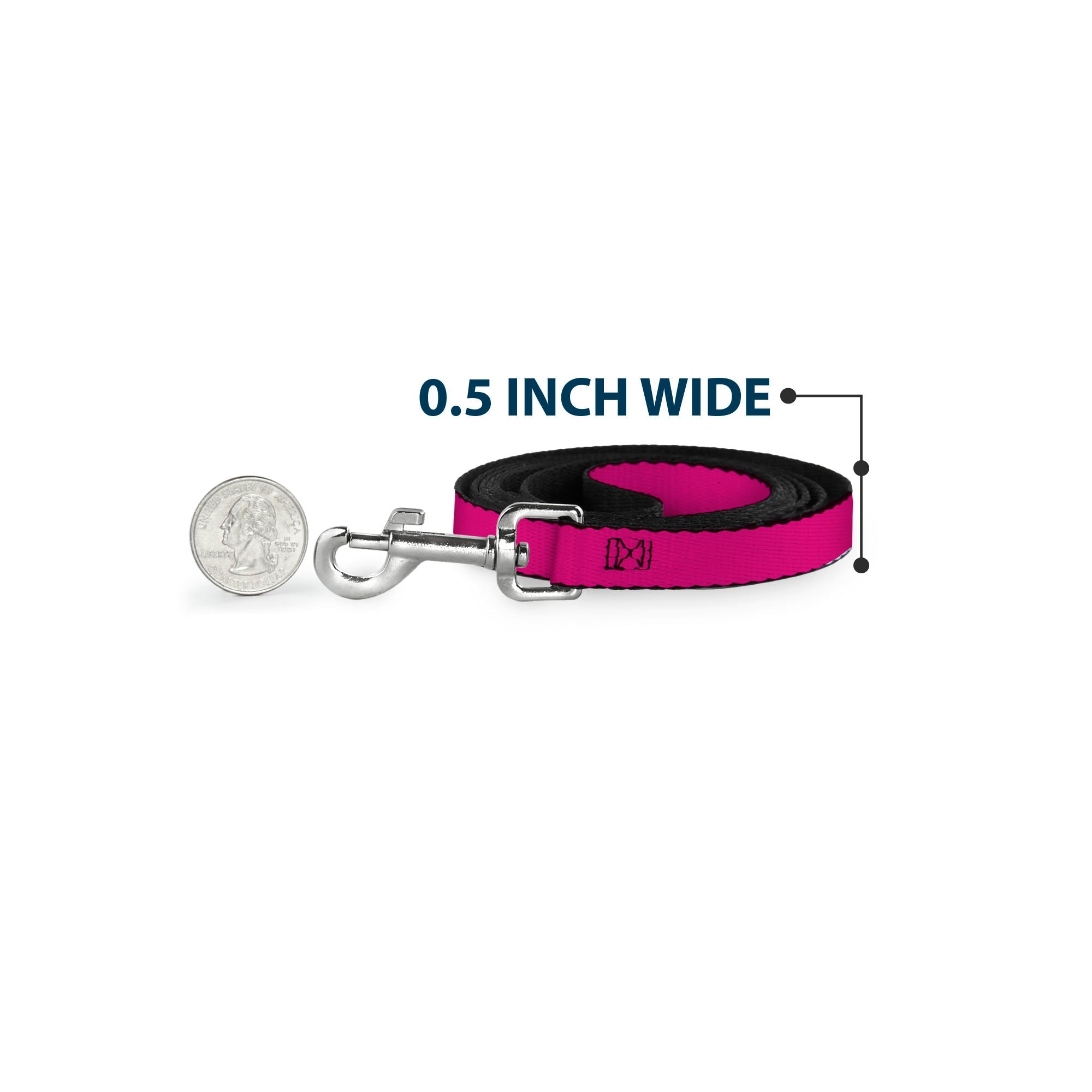Buckle-Down Dog Leash - Hot Pink PMS 219 Print