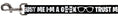 Load image into Gallery viewer, Dog Leash - I'M A GEEK/Glasses Black/White
