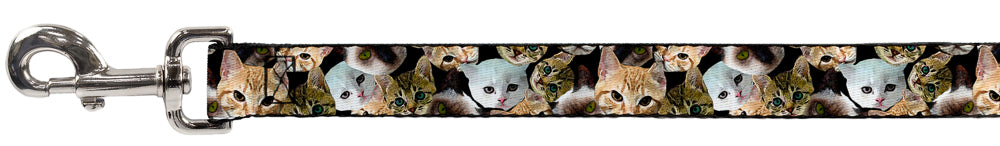 Dog Leash - Kitten Faces Scattered Black