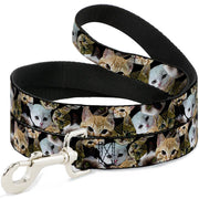 Dog Leash - Kitten Faces Scattered Black