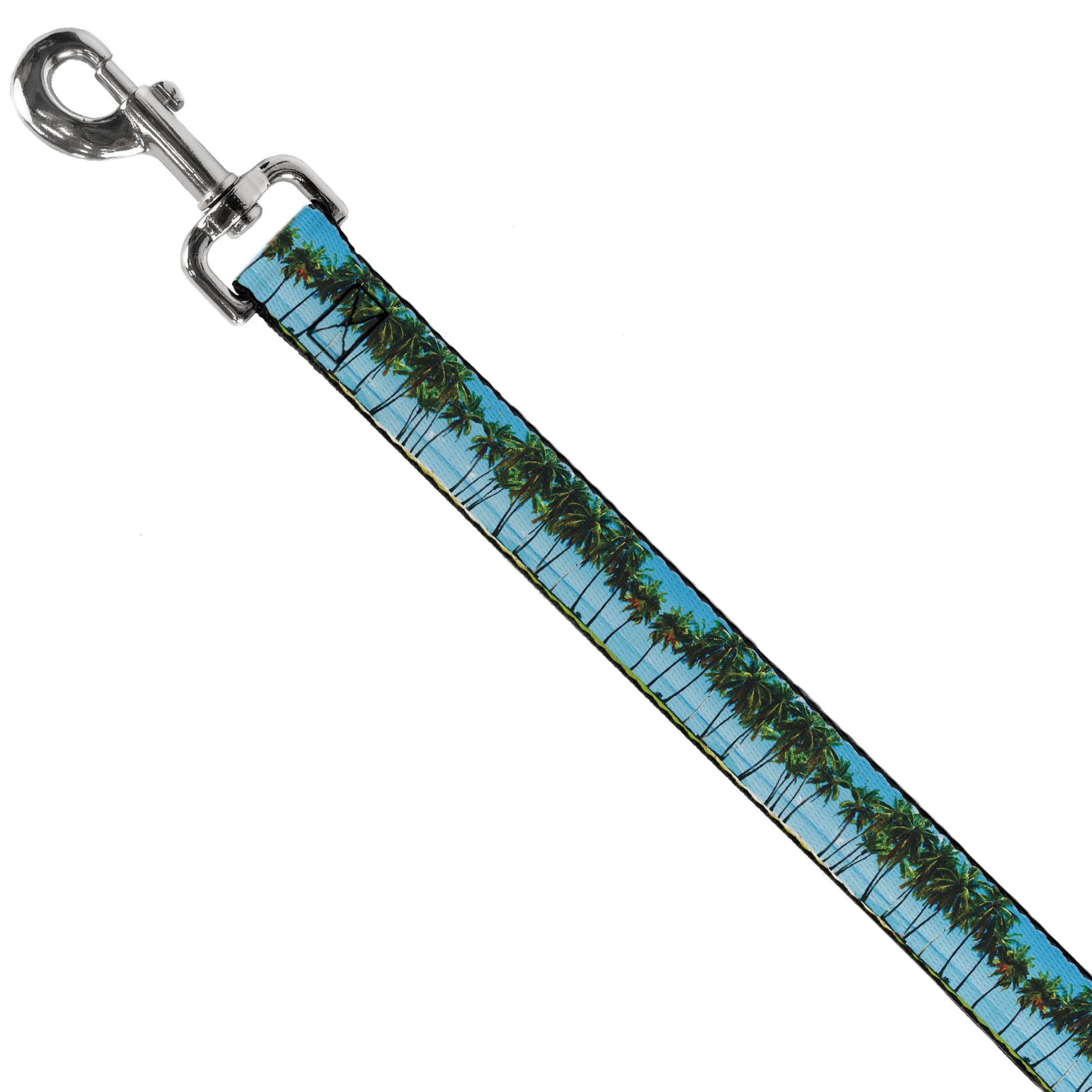 Dog Leash - Landscape Beach Palm Trees