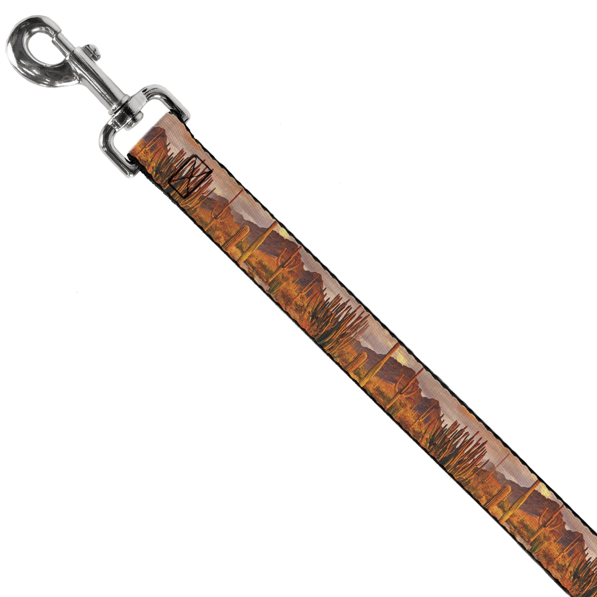Dog Leash - Landscape Desert Cacti