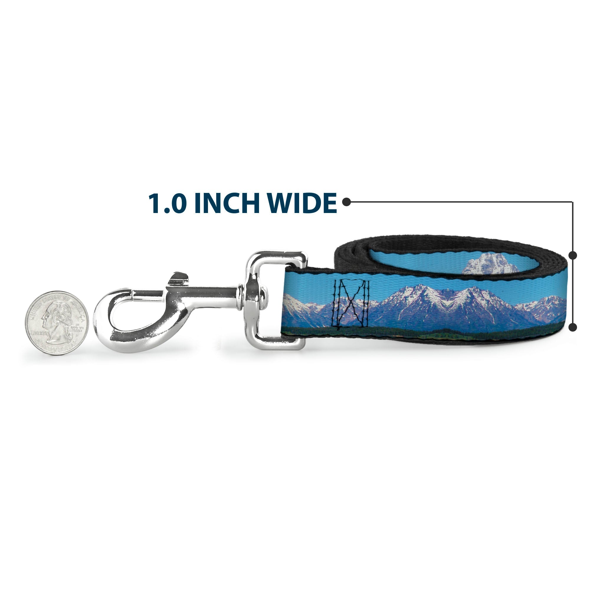 Dog Leash - Landscape Snowy Mountains