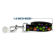 Buckle-Down Dog Leash - Multi Marijuana Leaves Black/Multi Color