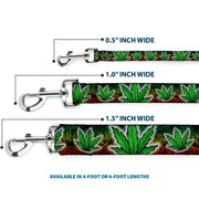 Buckle-Down Dog Leash - Marijuana Haze Rasta/White