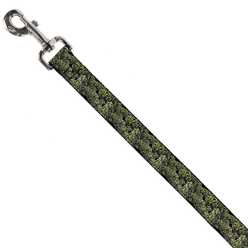 Buckle-Down Dog Leash - Nuggets Stacked