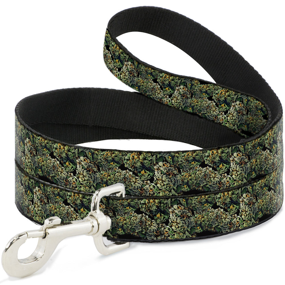 Buckle-Down Dog Leash - Nuggets Stacked