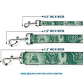 Load image into Gallery viewer, Dog Leash - One Dollar Bill Eye of Providence/Bald Eagle CLOSE-UP
