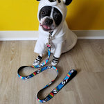 Dog Leash - Pandas & Rainbows w/Stars