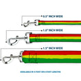 Load image into Gallery viewer, Dog Leash - Rasta Stripes Painted Green/Yellow/Red
