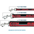Load image into Gallery viewer, Dog Leash - RIP CITY/Stripe/Mesh Black/Gray/Red
