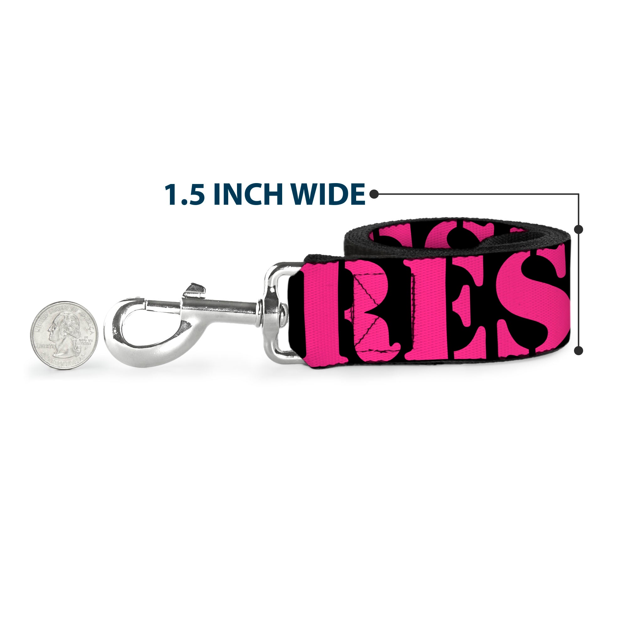 Dog Leash - RESIST Stencil Black/Pink