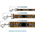 Load image into Gallery viewer, Dog Leash - Tiger Eyes
