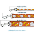 Load image into Gallery viewer, Dog Leash - Take Out/Fortune Cookies Orange
