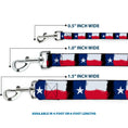 Load image into Gallery viewer, Dog Leash - Texas Flag Painting
