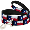 Load image into Gallery viewer, Dog Leash - Texas Flag Painting
