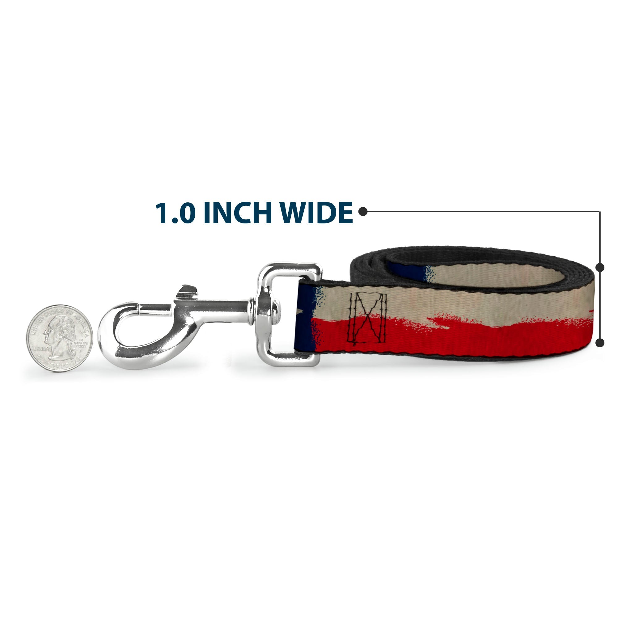 Dog Leash - Texas Flag CLOSE-UP Distressed Painting