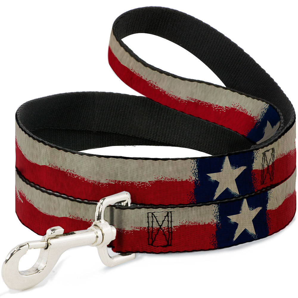 Dog Leash - Texas Flag CLOSE-UP Distressed Painting