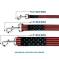 Load image into Gallery viewer, Dog Leash - Vintage US Flag Stretch

