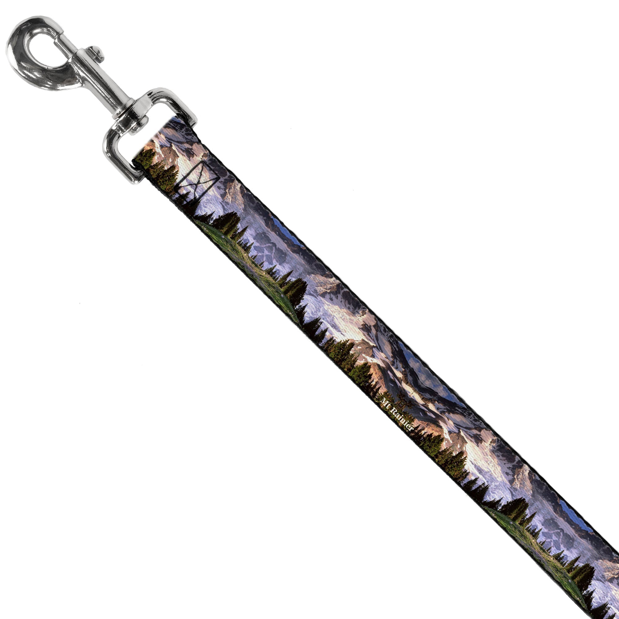 Dog Leash - Washington MT. RAINIER Valley Landscape