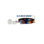 Dog Leash - Zarape2 Vertical Multi Color Stripe