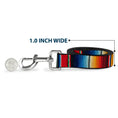 Load image into Gallery viewer, Dog Leash - Zarape2 Vertical Multi Color Stripe
