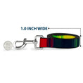 Load image into Gallery viewer, Dog Leash - Zarape4 Vertical Rasta
