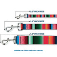 Load image into Gallery viewer, Dog Leash - Zarape5 Vertical Multi Color Stripe
