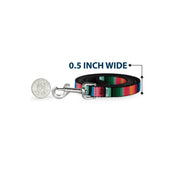 Dog Leash - Zarape5 Vertical Multi Color Stripe