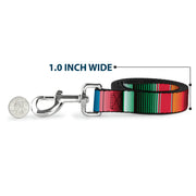 Dog Leash - Zarape5 Vertical Multi Color Stripe