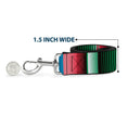 Load image into Gallery viewer, Dog Leash - Zarape5 Vertical Multi Color Stripe
