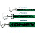 Load image into Gallery viewer, Dog Leash - CASH MONEY $ Green/Black
