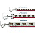 Load image into Gallery viewer, Dog Leash - California Flag Bear Weathered White
