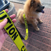 Dog Leash - CAUTION Yellow/Black