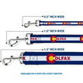 Load image into Gallery viewer, Dog Leash - Colfax Colorado Flag
