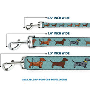 Dog Leash - Dachshund 4-Dogs/Paws Aquas